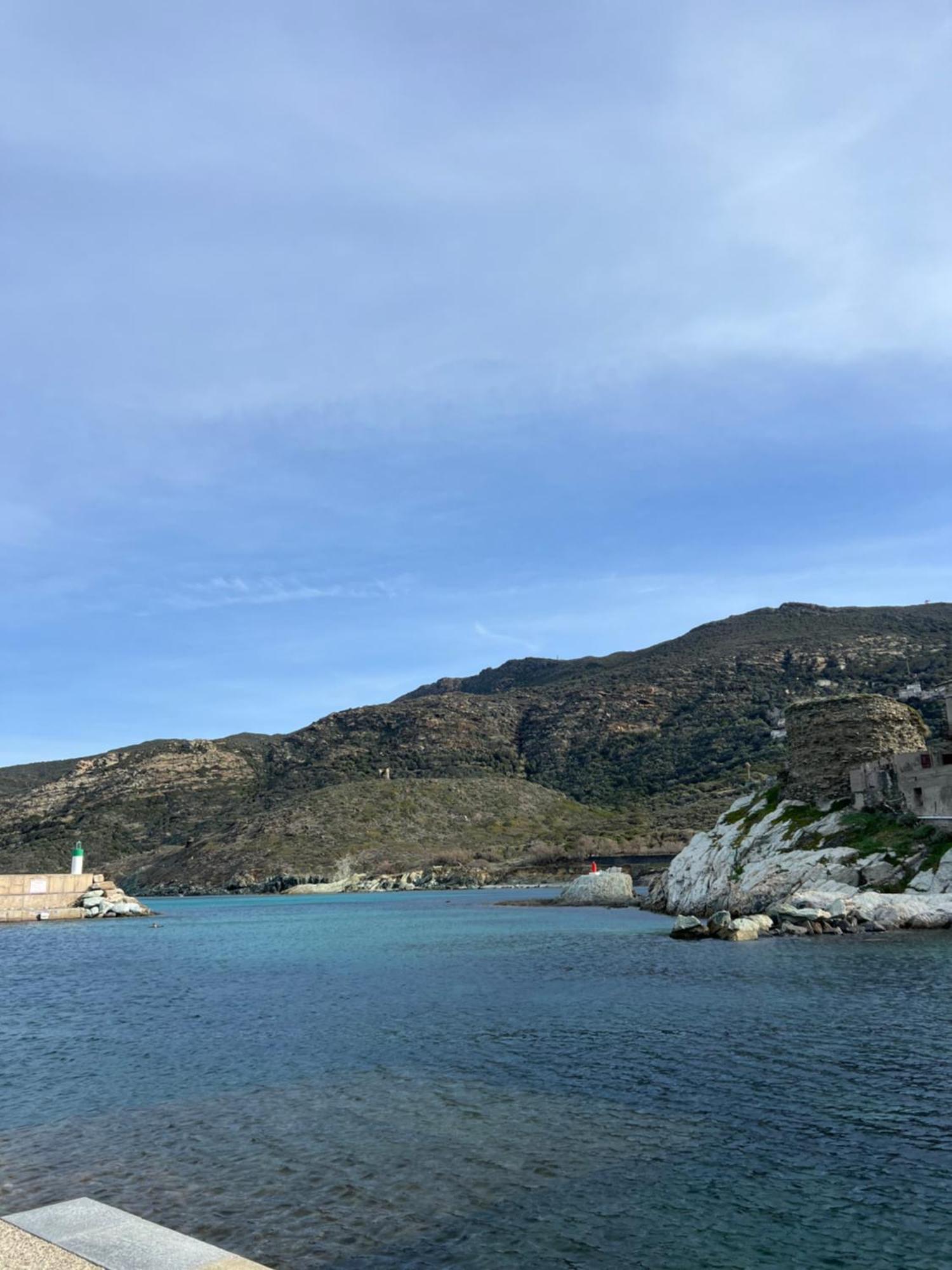 Les Oliviers Centuri-port Centuri